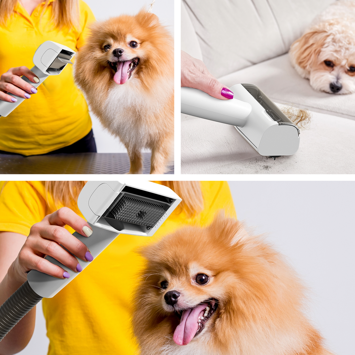 Tineco Floor One Switch S6 Pet Grooming Kit